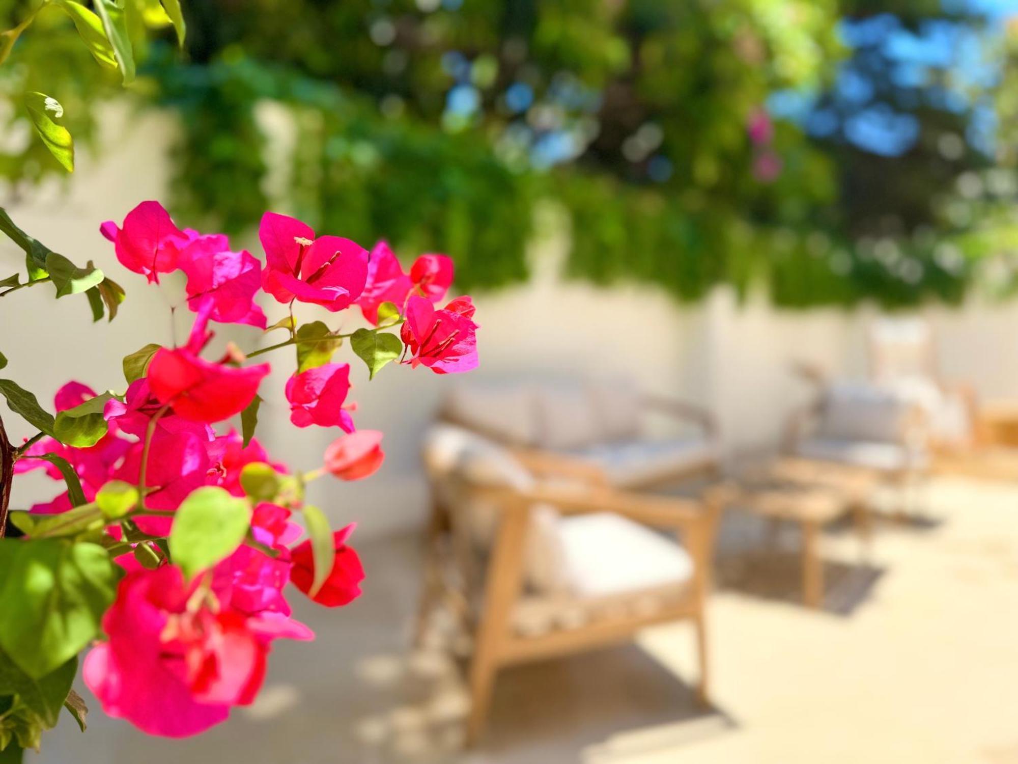 Bed and Breakfast Carbone XXI CTA Exterior foto